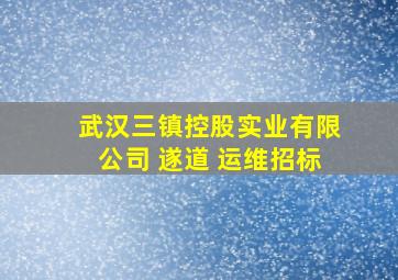 武汉三镇控股实业有限公司 遂道 运维招标